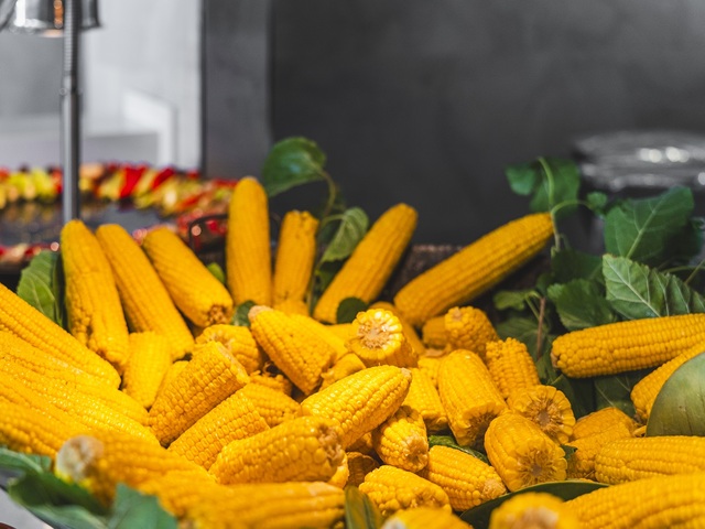 фотографии отеля Lucas Didim (ex. Club Tarhan Serenity; Club Tarhan Beach) изображение №27