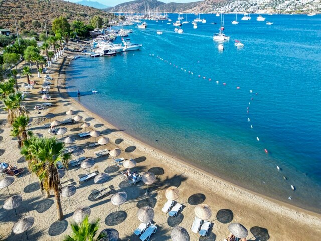 фото Jasmin Beach  изображение №34