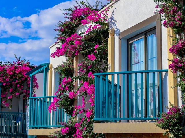 фотографии Jasmin Beach  изображение №36