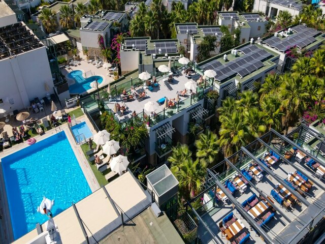 фотографии отеля Jasmin Beach  изображение №27