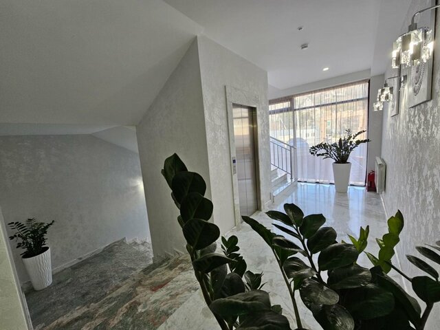 фотографии Династия (Dinastiya) изображение №48