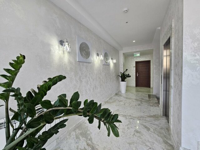 фотографии Династия (Dinastiya) изображение №44