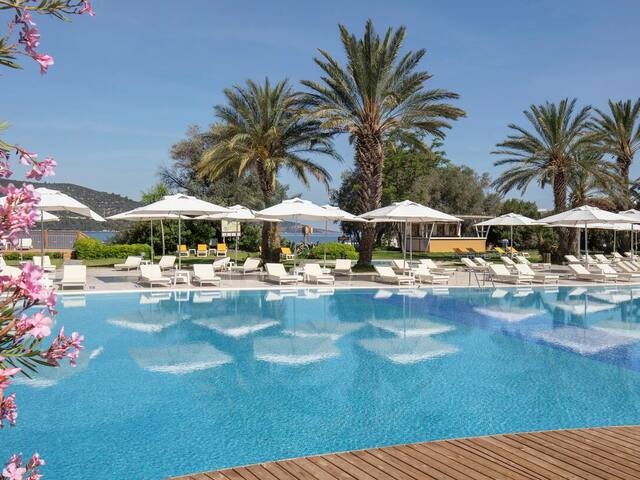 фотографии отеля DoubleTree By Hilton Bodrum Isil Club Resort (ex. Coralia Club Milta) изображение №55