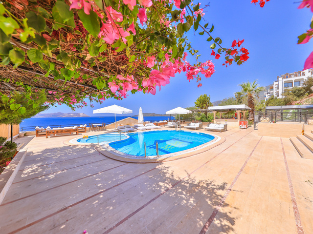 фото Hera изображение №26