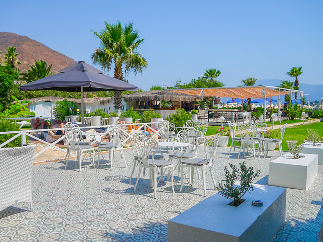 фотографии отеля Casa & Blanca (ex. Elif) изображение №7