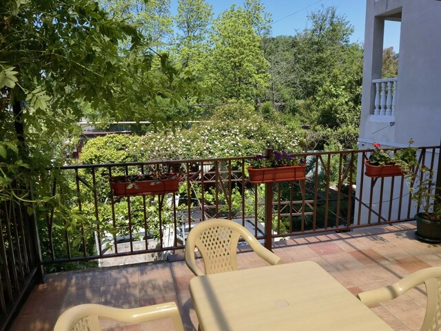 фото Терраса (Terrasa) изображение №6