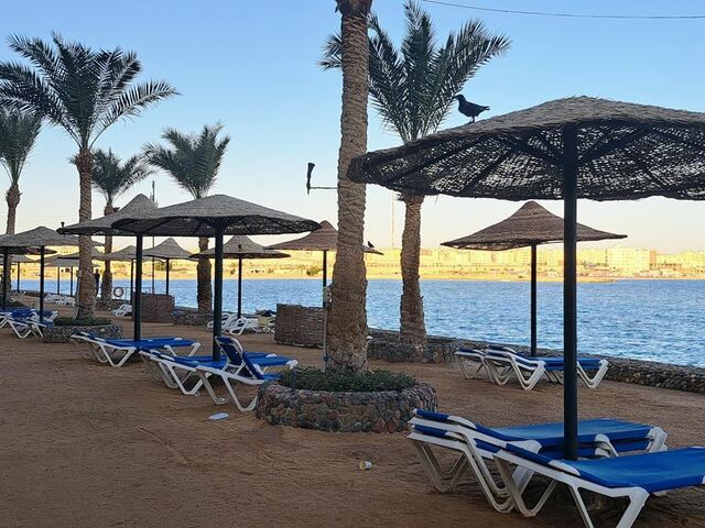 фотографии отеля Sunny Days Palma De Mirette Resort изображение №7