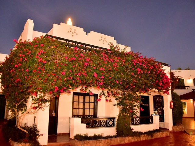 фотографии отеля Verginia Sharm Resort & Aqua Park (ех. Verginia Sharm; Sol Verginia) изображение №83