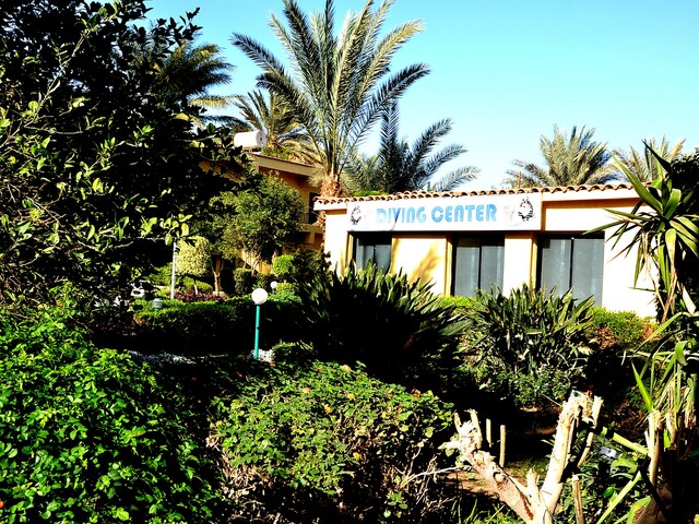 фотографии Sand Beach Resort изображение №32