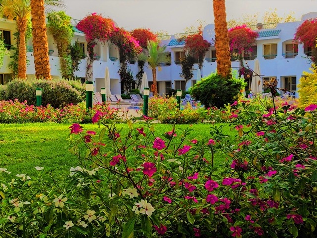 фотографии отеля Falcon Hills изображение №7