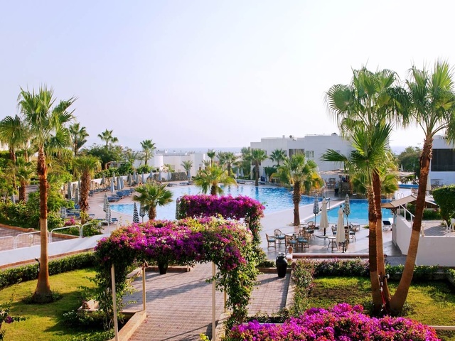 фото EVC Sharm Reef изображение №114