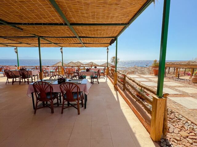 фотографии отеля EVC Sharm Reef изображение №79