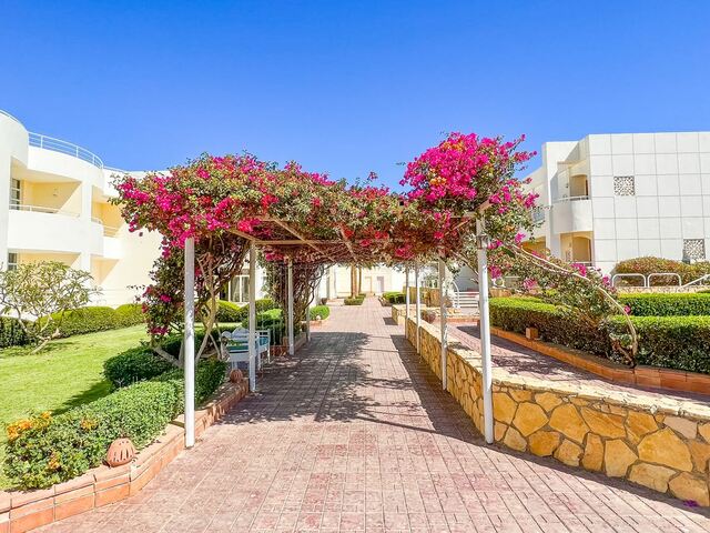 фотографии отеля EVC Sharm Reef изображение №55