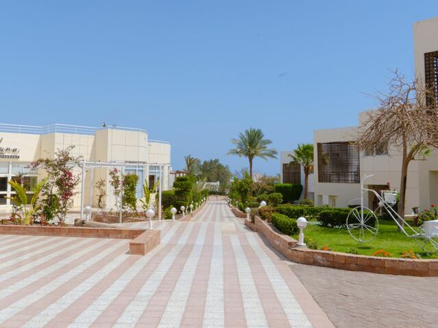 фото отеля EVC Sharm Reef изображение №37