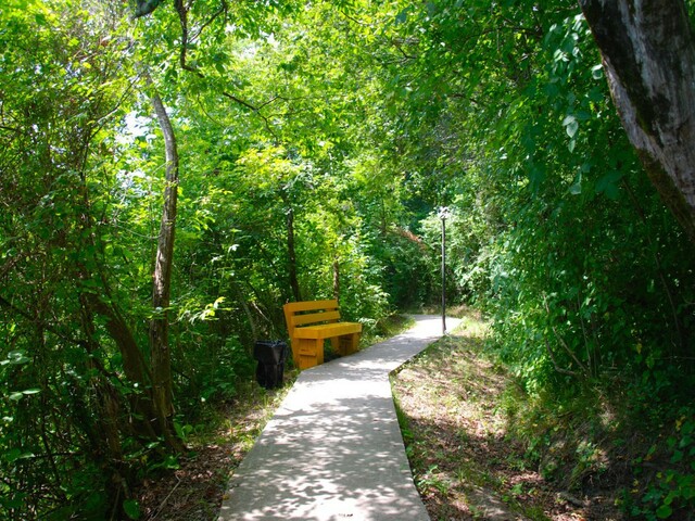 фото Южная ночь (Yuzhnaya noch') изображение №26