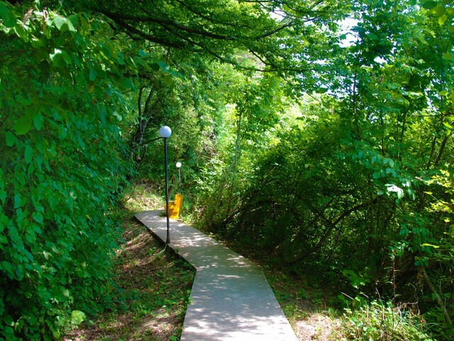 фотографии Южная ночь (Yuzhnaya noch') изображение №12