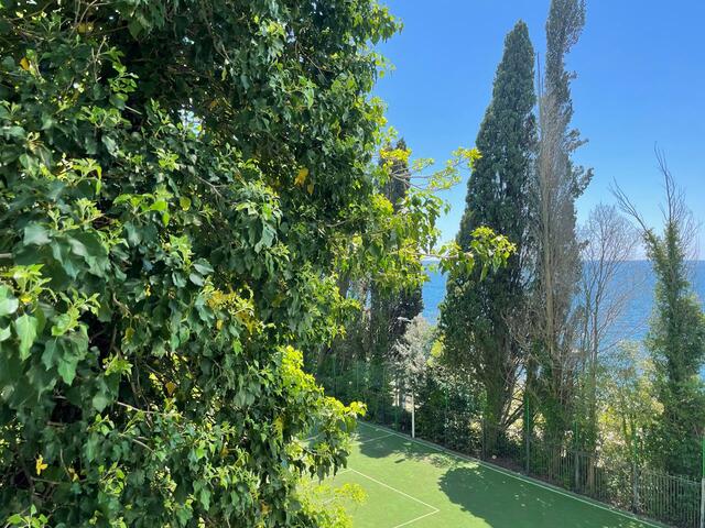 фотографии отеля Таис (Tais) изображение №7