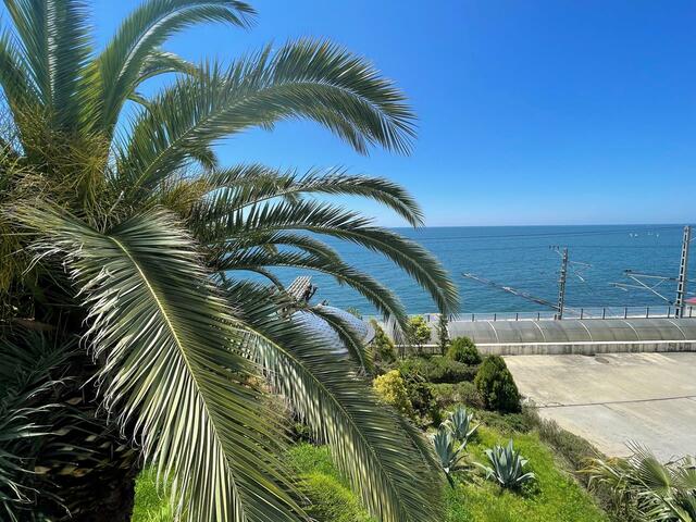 фотографии Таис (Tais) изображение №8