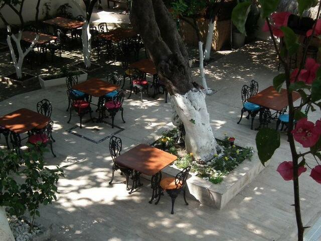 фотографии Kaliptus изображение №24