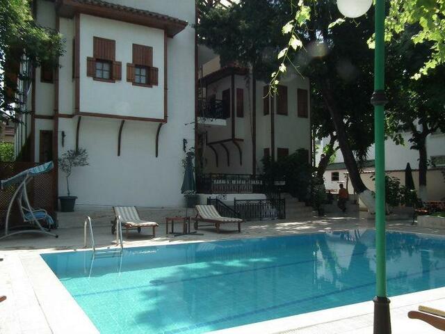 фото Kaliptus изображение №22