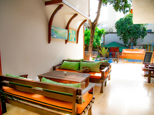 фотографии Kaliptus изображение №12