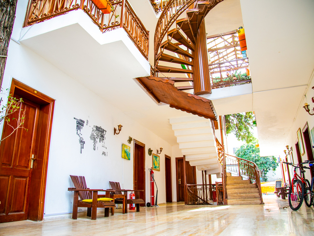 фото Kaliptus изображение №10