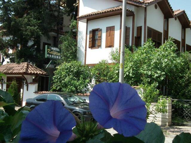 фотографии Kaliptus изображение №8