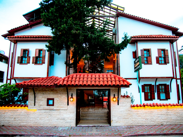 фото Kaliptus изображение №6