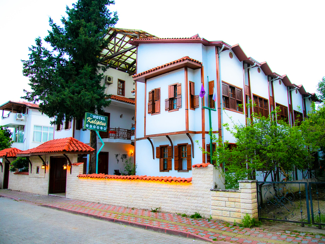 фотографии Kaliptus изображение №4