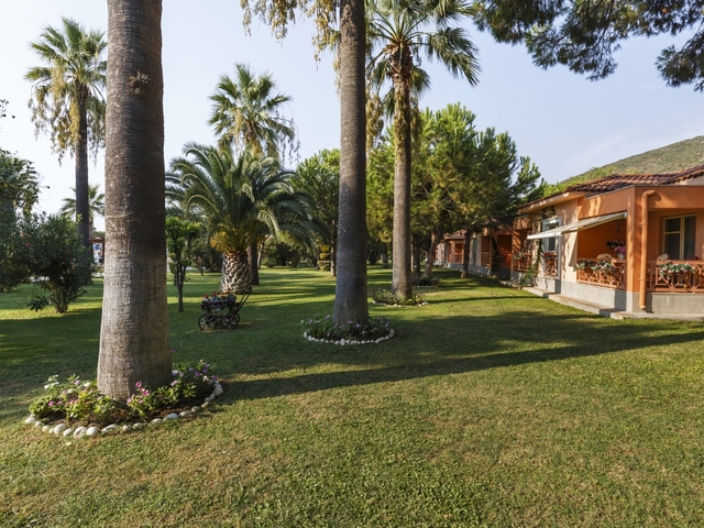 фотографии отеля Kustur Club Holiday Village (ex. Majesty Club Kustur) изображение №27