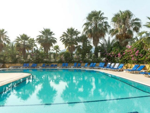 фотографии Stella изображение №12