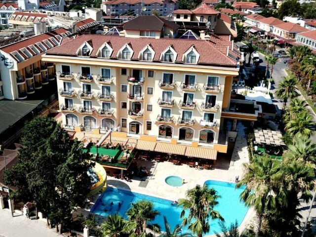 фото Stella изображение №6