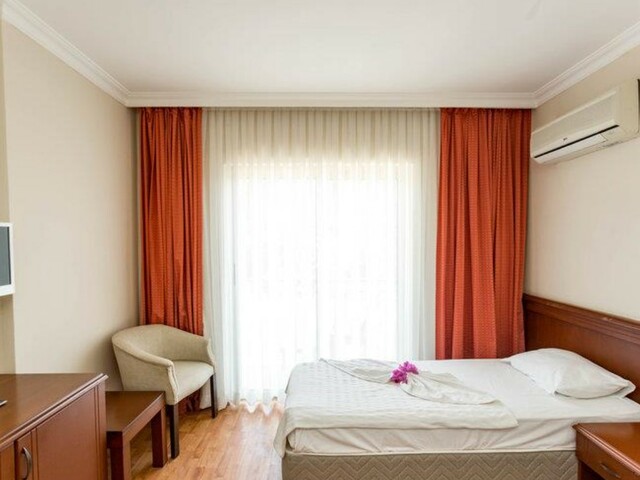 фотографии Stella изображение №4