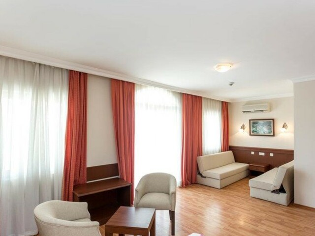 фото Stella изображение №2