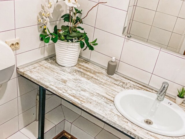 фотографии Vertebra (ex. Чинара)  изображение №4