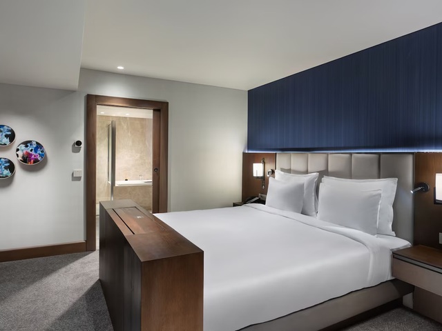 фото Crowne Plaza Istanbul Ortakoy Bosphorus, An IHG Hotel изображение №58