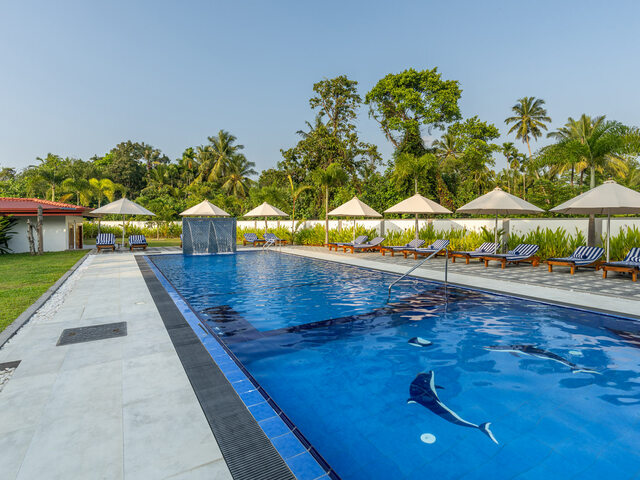 Southern Blue Sapphire