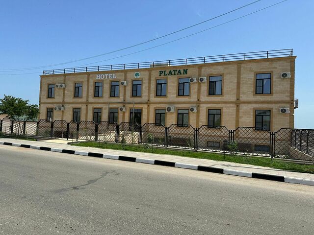 Platan (Платан)