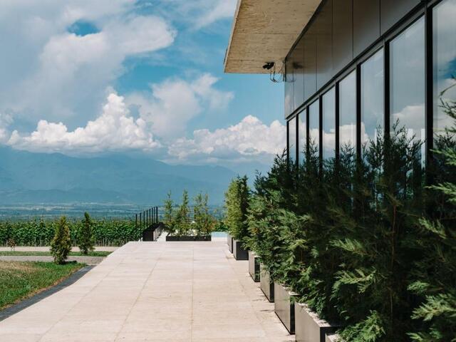 фото Vazisubani Estate изображение №18