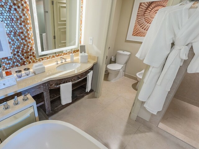 фотографии Atlantis The Palm изображение №84