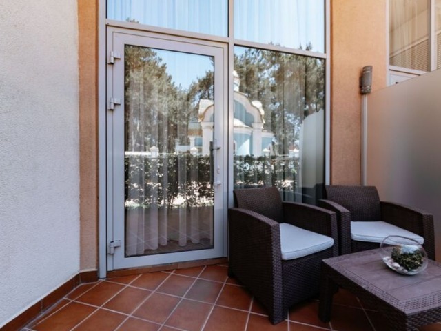 фото Royal Cat (Роял Кэт) изображение №14