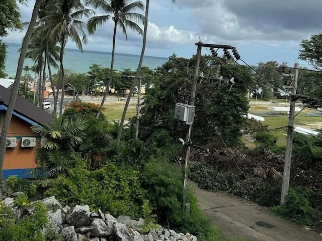 фотографии Kata Merit Hill Bungalow изображение №4