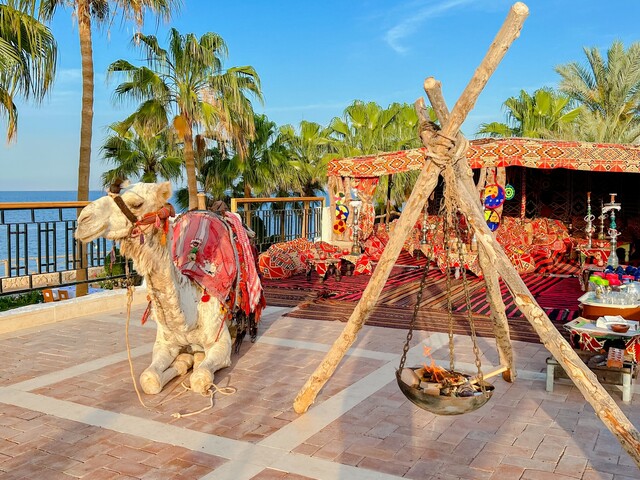 фотографии отеля EVC Sharm Club Beach Resort (ex. Labranda Tower Bay; Sharm Club) изображение №27