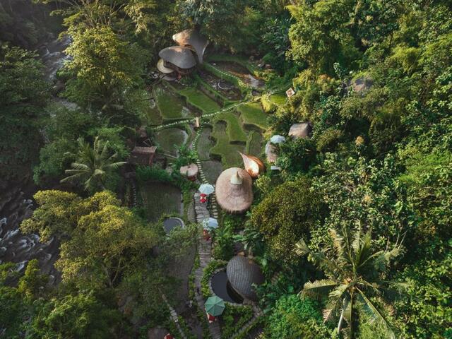 фотографии отеля Bambu Indah Resort изображение №11