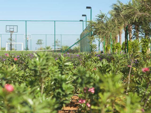 фото Pullman Resort Al Marjan Island (ex. Marjan Island Resort & Spa) изображение №18