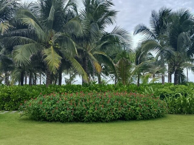 фотографии The Western Seaview Cam Ranh Condotel изображение №28