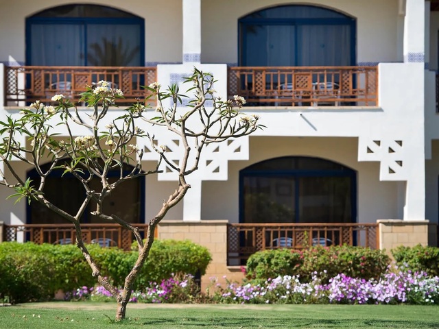 фото отеля Amphoras Beach (ex. Shores Amphoras Resort; Otium Hotel Amphoras Sharm) изображение №29