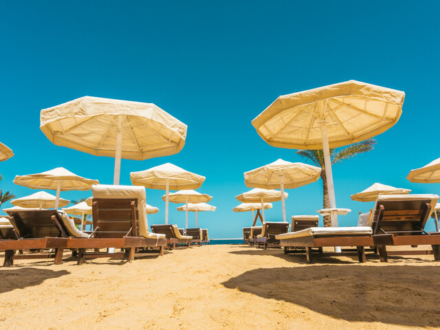 фотографии отеля La Rosa Waves Beach & Aqua Park (ex. Premium Beach Resort; Premium Seagull Resort) изображение №3