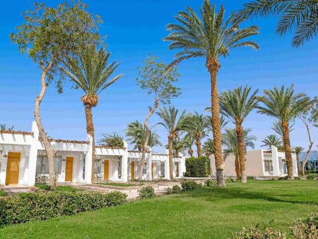 фотографии Menaville Safaga изображение №8