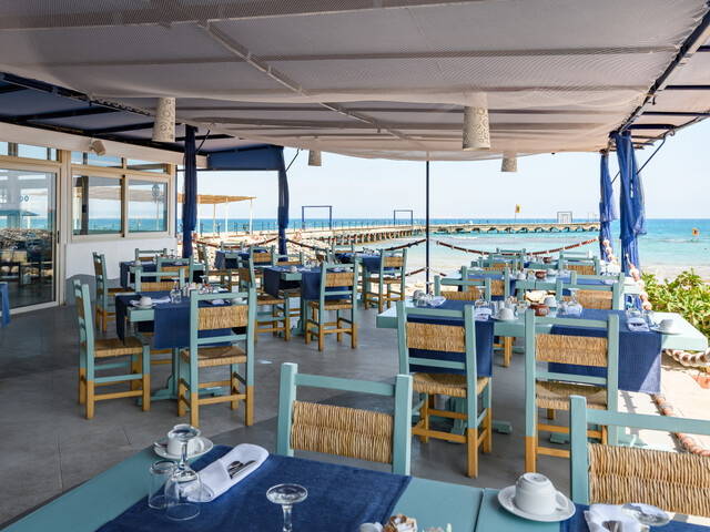 фото отеля Desert Rose Resort изображение №61
